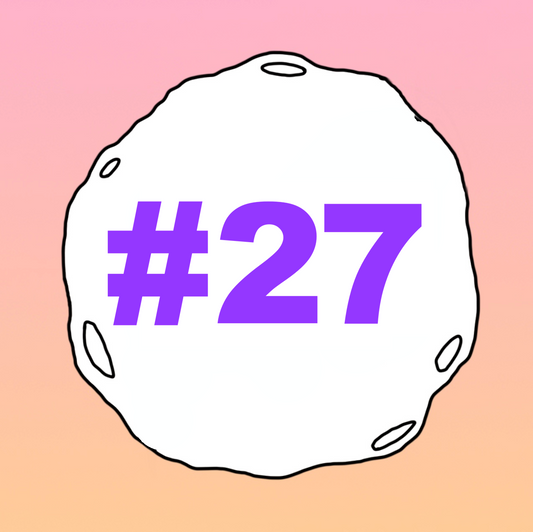 #27 - Season 2: Look Up