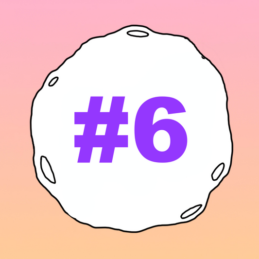 #6 - Grief