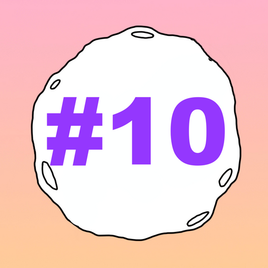 #10 - Metta Meditation