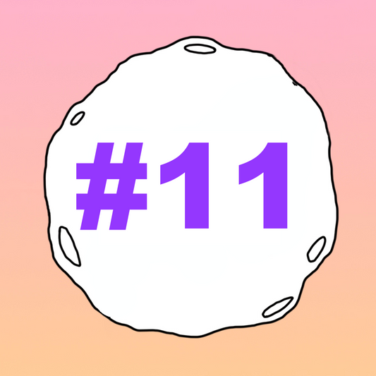 #11 - Suicidal Thoughts
