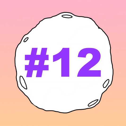 #12 - Birthday Yellows