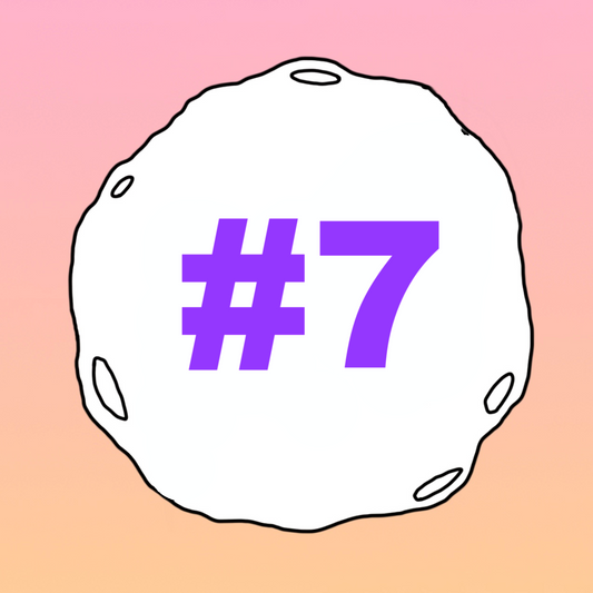 #7 - How I Stopped Caring What People Think of Me