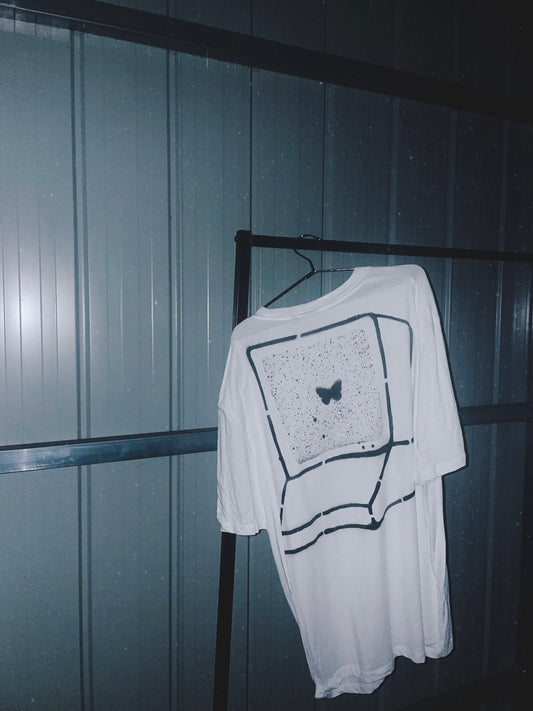 Butterfly Effect (1 of 1)